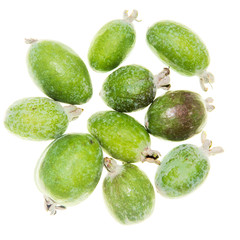 Green feijoa fruit isolated on white background