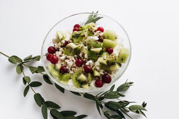 Delicious cottage cheese with kiwi pieces and cranberries in bowl on white background, closeup, healthy breakfast