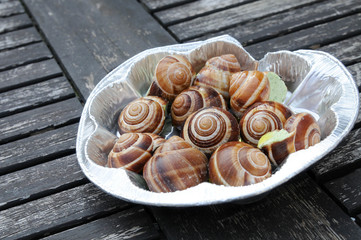 Fischgericht Meerestiere Meeresfürchte Weinbergschnecken schnekenfleisch