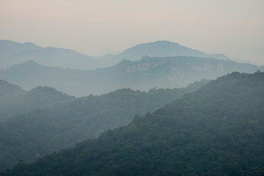 Fototapeta fog above rainforest