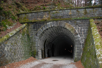 Amagi tunnel at the Amagi pass in autumn season / 天城峠 旧天城トンネル(天城山隧道) - 秋の風景