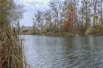 Altwasser am Rhein in Rheinmünster