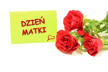 Dzień matki kartka z polskim tekstem DZIEŃ MATKI, róże na białym tle - obrazy, fototapety, plakaty