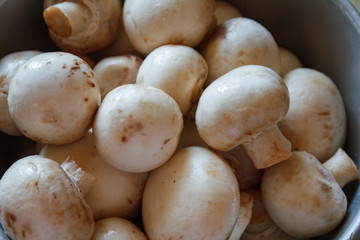 Champignon mushrooms, sacking mat and spices on wooden background