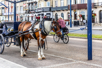 Naklejka na ściany i meble Beautiful carriage with horse in a small town on the English east coast