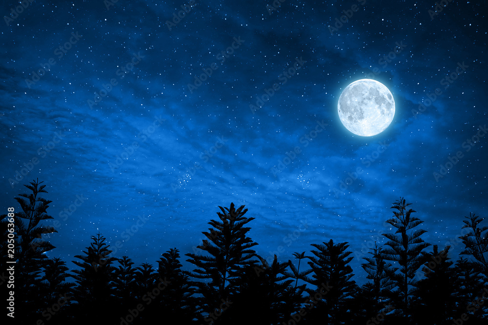 Wall mural forest in silhouette with starry sky , elements of this image are furnished by nasa