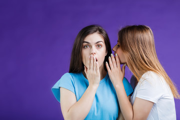 Two pretty women gossipping with face reaction expression before blue background