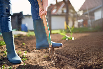 Work in a garden - Digging Spring Soil With Spading fork