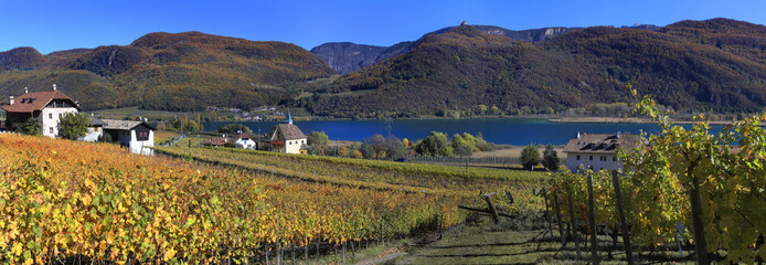 Naklejka premium Kalterer See mit Weinberge im Herbst, Südtirol, Italien, Europa, Panorama