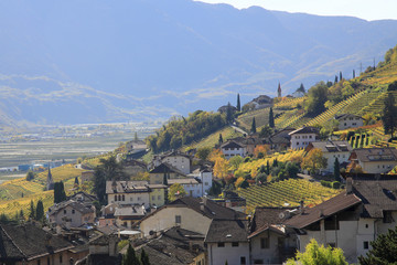 Fototapeta na wymiar Tramin im Herbst, Südtirol, Italien, Europa