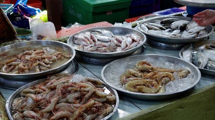 Frischer Fang des Tages, Fisch und Meerestiere auf Markt