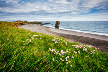 Great views of the Starmyri basalt Dalkur. Location place Park at Oceanside, coast of Iceland,...