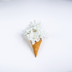 Lovely unique flower in ice cream cone on white background. Flat lay styling.