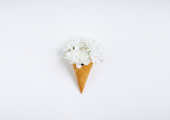 Lovely unique flower in ice cream cone on white background. Flat lay styling.
