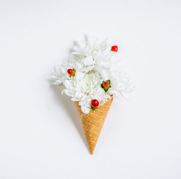 Lovely unique flower in ice cream cone on white background. Flat lay styling.