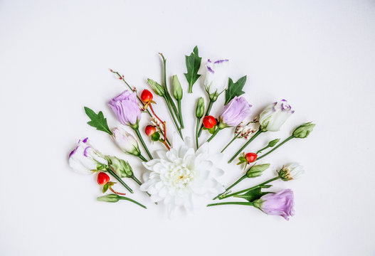 Lovely unique flower and twigs of the plant on white background.