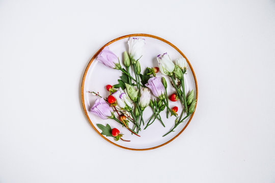 Lovely unique flower in circular clay plate on white background.
