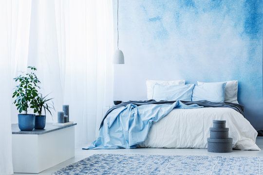 Sky blue bedroom interior with double bed, plants and grey boxes on the floor