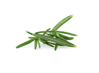 Fototapeta premium rosemary isolated on white background