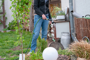 frau gießt garten mit schlauch