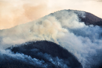 Back burning in Hobart, Tasmania, Australia