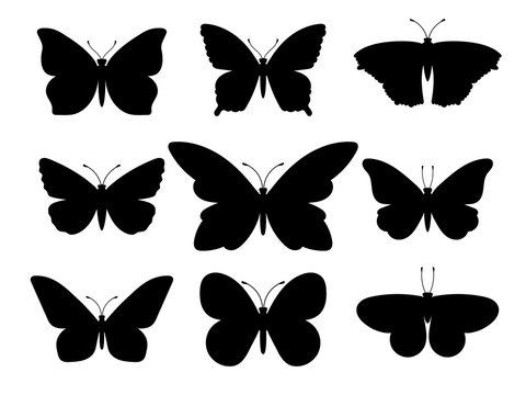 Butterflies black silhouettes