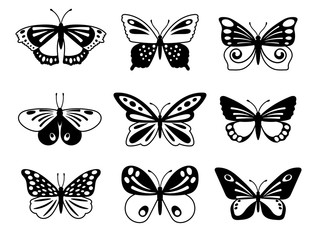 Black and white butterflies
