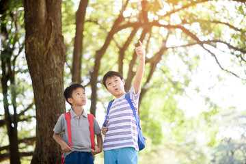 Naklejka premium Preteen Asian boy travel in a forest in summer and learn about nature and tree.
