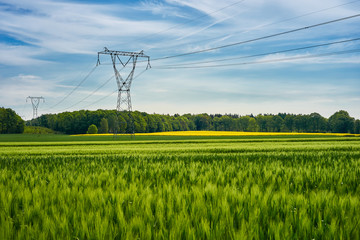 High voltage poles standing in a field under a blue sky. Juicy green fields on a colorful summer country landscape.