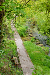 Tiny river in the Irish countryside surrounded by trees and vegetation