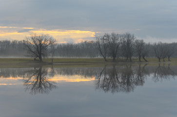 The Wolastoq River on a foggy day