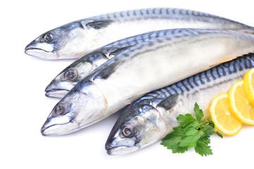 Fish mackerel