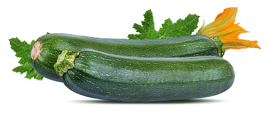 Fresh green zucchin with leaf and flower isolated on white background with clipping path