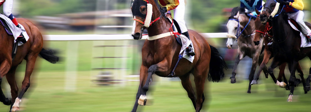 Pferderennen (Galopp)