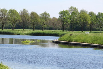 Sunny Rural Lake Landscape 
