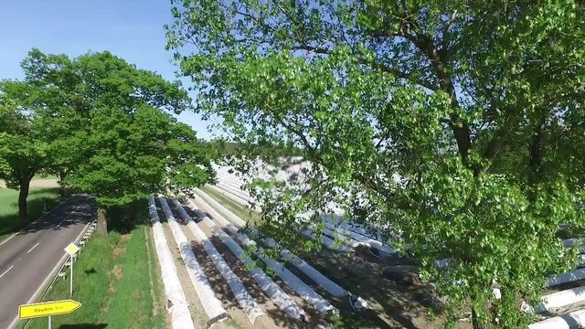 Feld Luftaufnahme Luftbild Spargelfeld Spargelanbau Spargel ernte