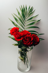 red rose on a gray background. bouquet in a vase
