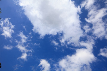 Cloud and blue sky