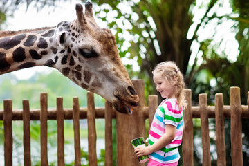Naklejka premium Kids feed giraffe at zoo. Children at safari park.