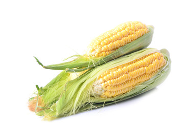 Fresh corn