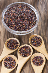 Black quinoa seeds - Chenopodium petiolare