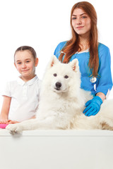 Veterinarian with dog, on table in vet clinic, animal doctor concept