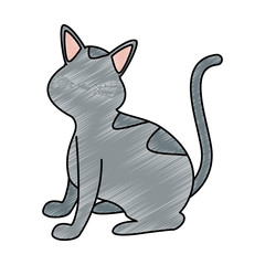 Cute cat cartoon vector illustration graphic design