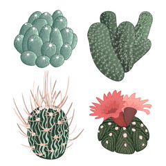 Set of cactuses, hand drawn vector illustration