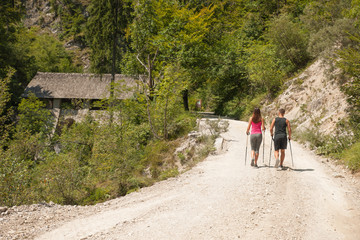 Obraz premium Active young couple on a hike in forest on a hot wummer day