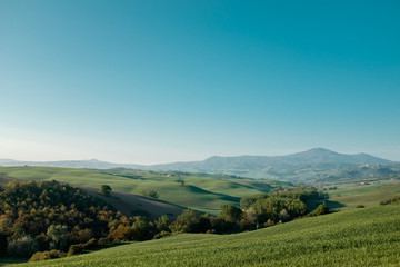 Naklejka premium Panoramic view of Tuscany. Travel around Italy