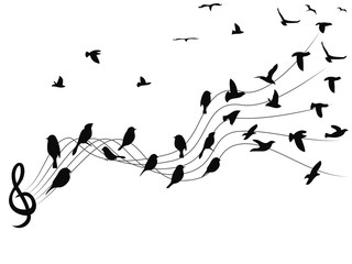 birds musical notes background