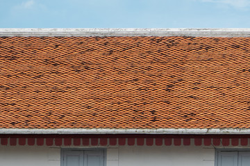 red roof and blue sky