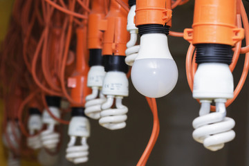 Photo of Hanging light bulbs with depth of field.