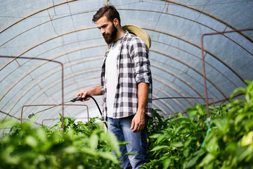 Attractive happy male farmer working in greenhouse
